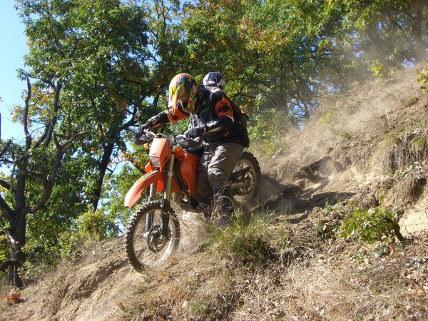 KTM_525_Ungarn_2.jpg